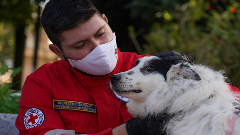 Ο Ελληνικός Ερυθρός Σταυρός στηρίζει τα αδέσποτα του καταφύγιου ζώων του  Δήμου Αθηναίων