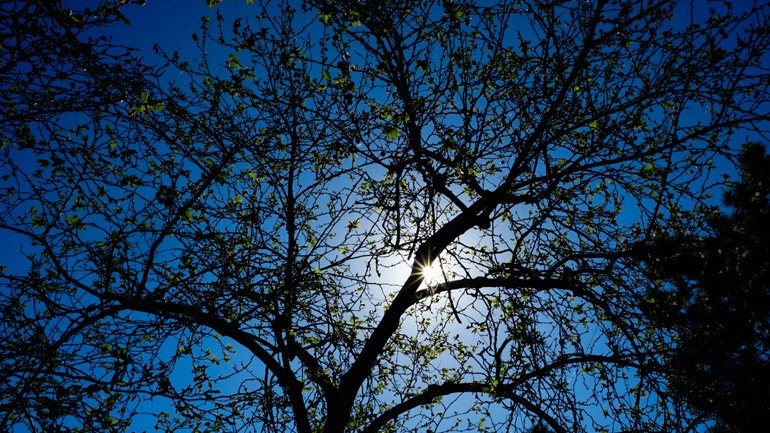 Ο καιρός σήμερα