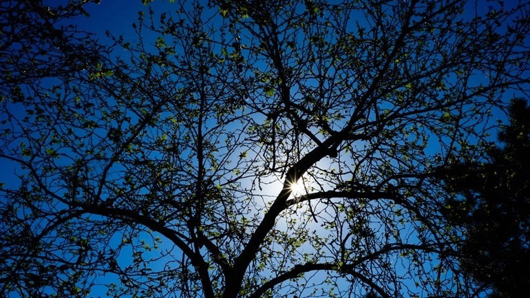 Σε κανονικά για την εποχή επίπεδα η μέση θερμοκρασία τον φετινό Σεπτέμβριο