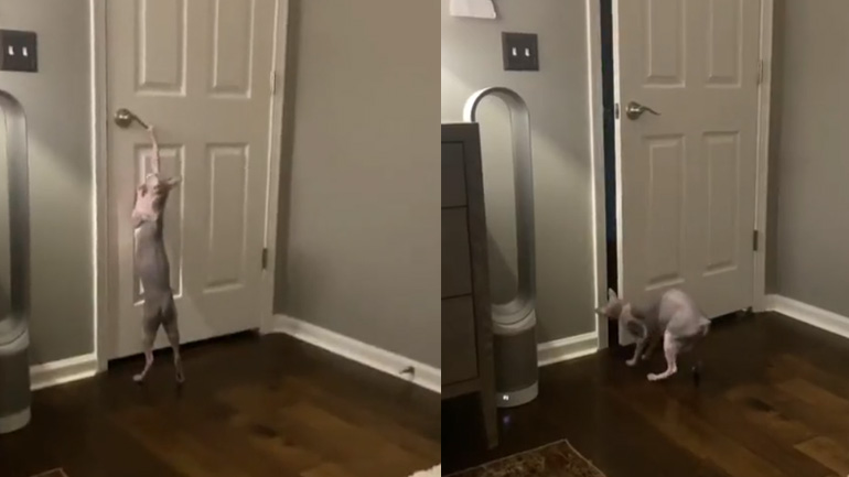 Σιγά μην περιμένω