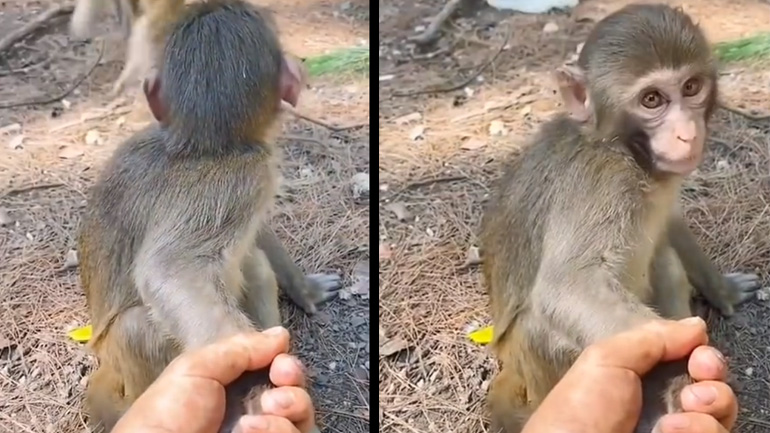 Τι κάνεις εσύ εδώ;