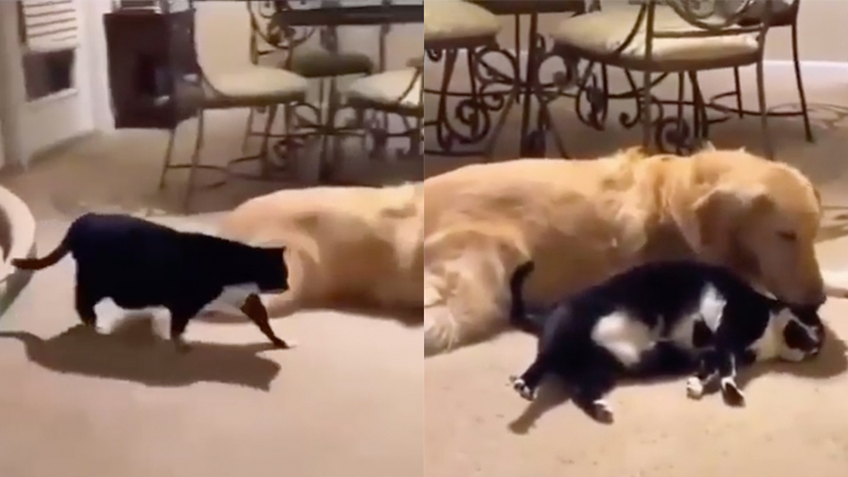 Έρχομαι για αγκαλιά! Έρχομαι για αγκαλιά!