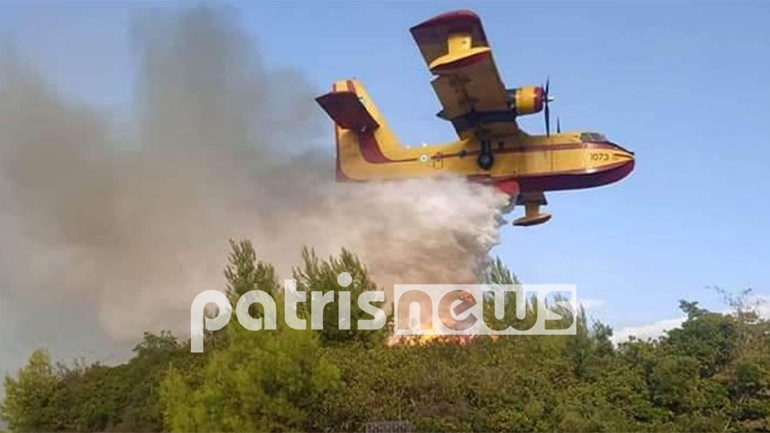 Ηλεία: «Στάχτη» 150 στρέμματα στα Αστεραίικα Αμαλιάδας