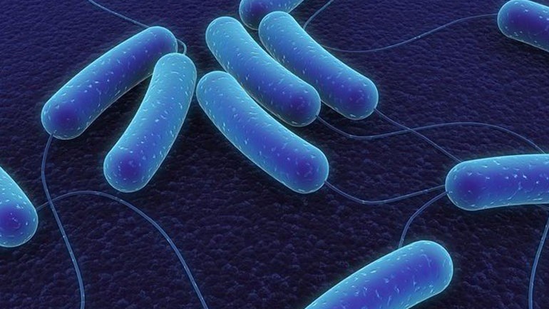 Τι μας διδάσκει η επιδημία σύφιλης στο Λονδίνο του 18ου αιώνα;