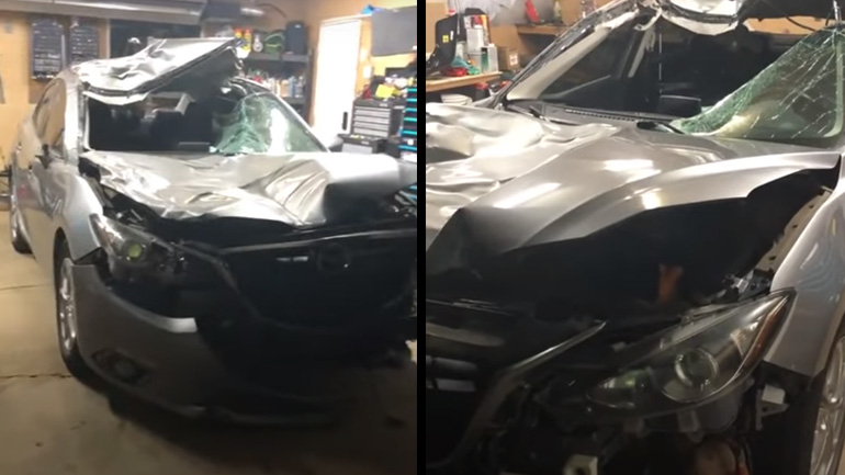 Σύγκρουση με μια άλκη