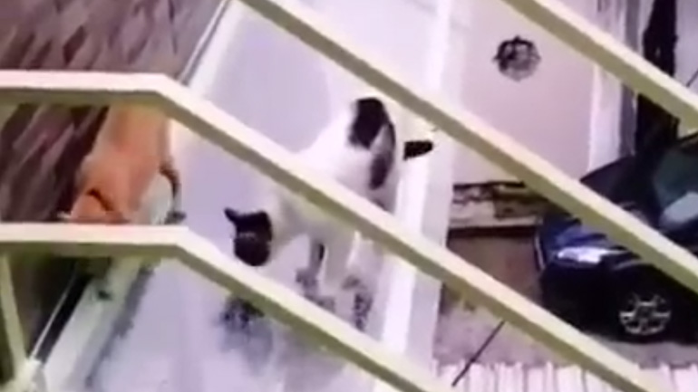 Πρόσεχε, γλιστράει!