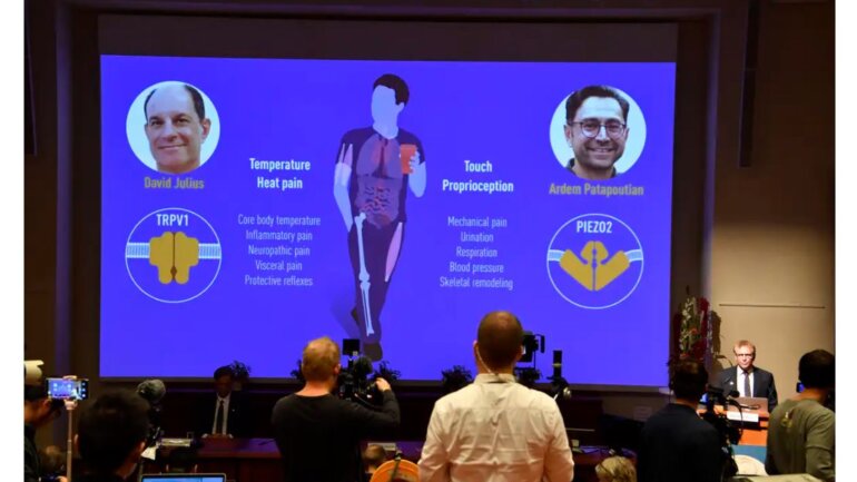 Νόμπελ Ιατρικής: Πώς οι πιπεριές τσίλι βοήθησαν στην ανακάλυψη της αίσθησης του πόνου