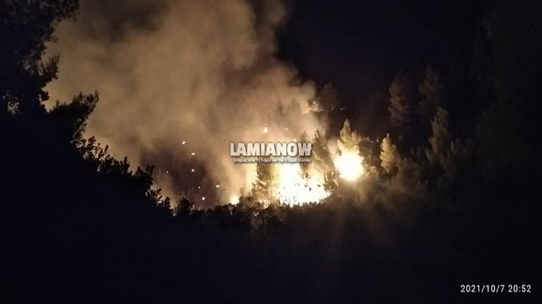 Φθιώτιδα: Μάχη με τις φλόγες κοντά στο Μαρτίνο