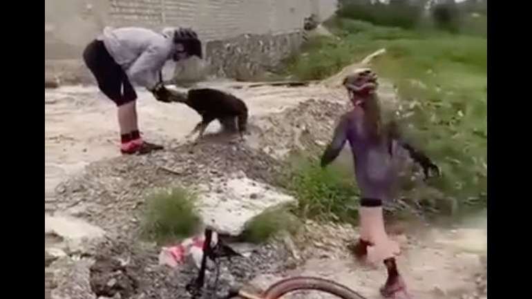 Ο σκύλος ευχαριστεί τους ποδηλάτες που τον βοήθησαν