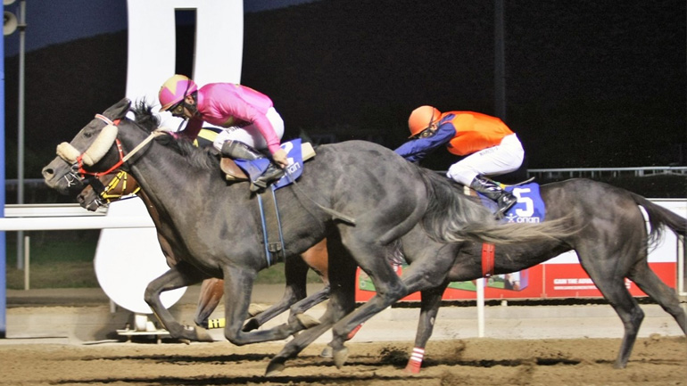 Η κορυφαία ιπποδρομία της χρονιάς τη Δευτέρα στο Markopoulo Park