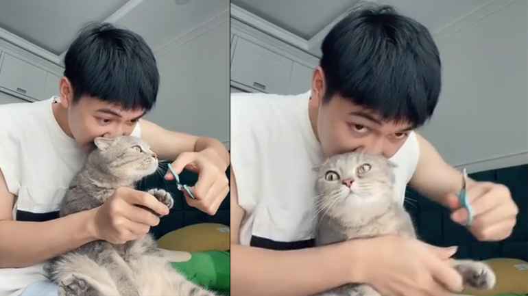 Μια τεχνική για να κόψετε εύκολα τα νύχια της γάτας σας!