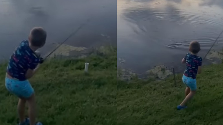 Μικρός ψαράς εναντίον αλιγάτορα