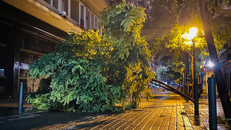 Πτώσεις δένδρων στη Θεσσαλονίκη – Κλειστά σχολεία στη Χαλκιδική