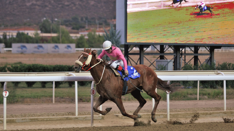 Ο ΝΙΟΥ ΧΟΛΑΝΤ, μεγάλος νικητής του 75ου Ελληνικού Ντέρμπι στο Markopoulo Park