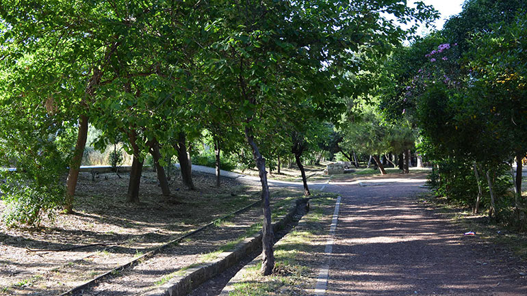 Το πράσινο στις πόλεις διώχνει τον Covid-19
