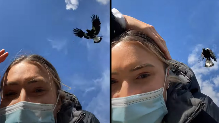 Καρακάξα κυνηγά μια γυναίκα