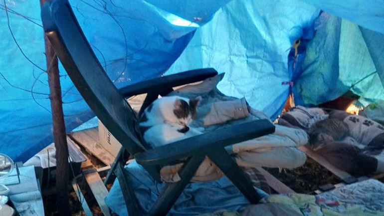 Ελευσίνα: Δύσκολη η κατάσταση για τη φιλόζωη και τα δεκάδες αδέσποτα που έχει διασώσει