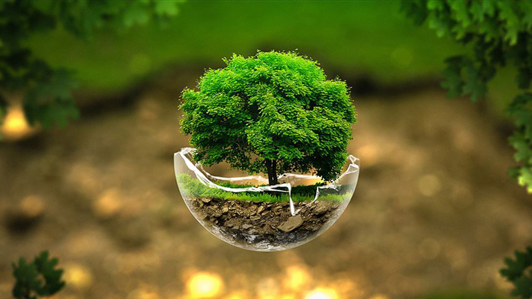 Γερμανία: Επιστήμονες ζητούν να κατοχυρωθεί συνταγματικά η προστασία της φύσης