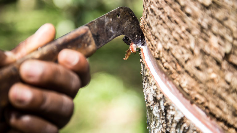 Ποια είναι η σχέση του «CASCADE» της Michelin και της Porsche