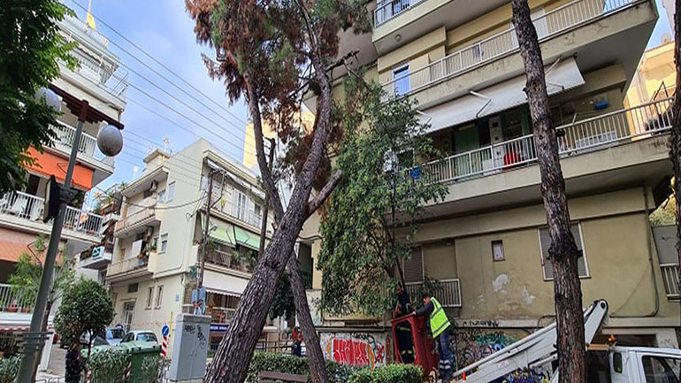 Δέντρο έπεσε σε πολυκατοικία στην Καλαμαριά