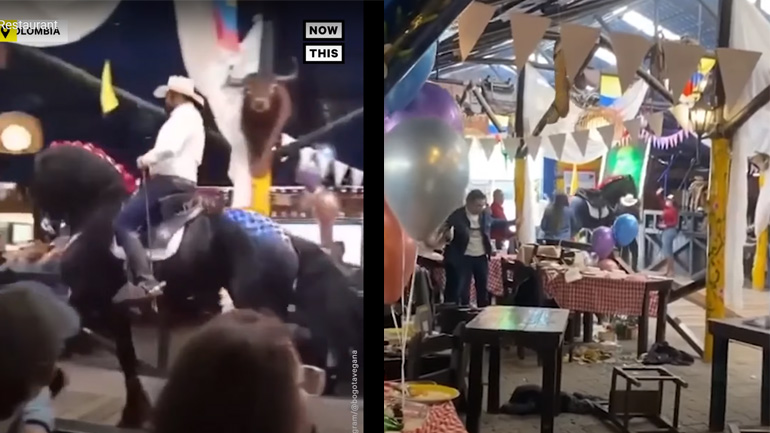 Πτώση αλόγου σε εστιατόριο