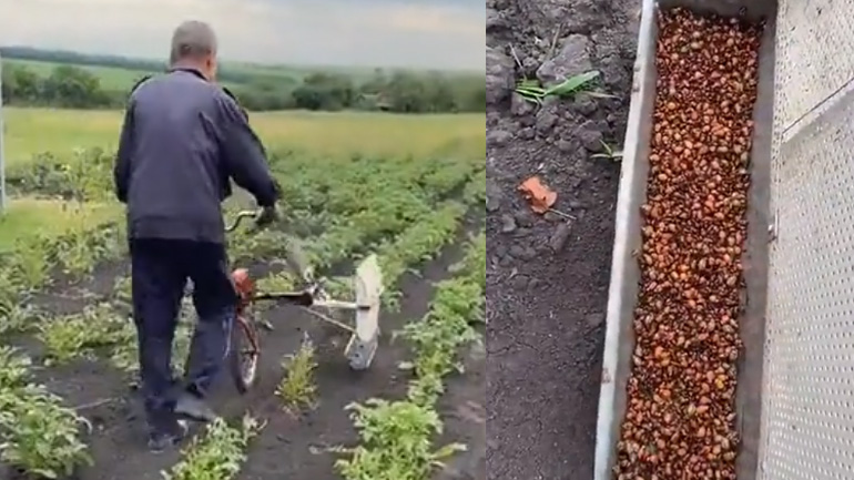 Αυτοσχέδια μηχανή για έντομα