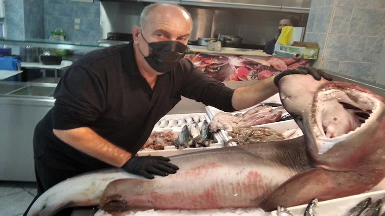 Εντυπωσιακού μεγέθους γαλέος σε ιχθυοπωλείο στη Λάρισα