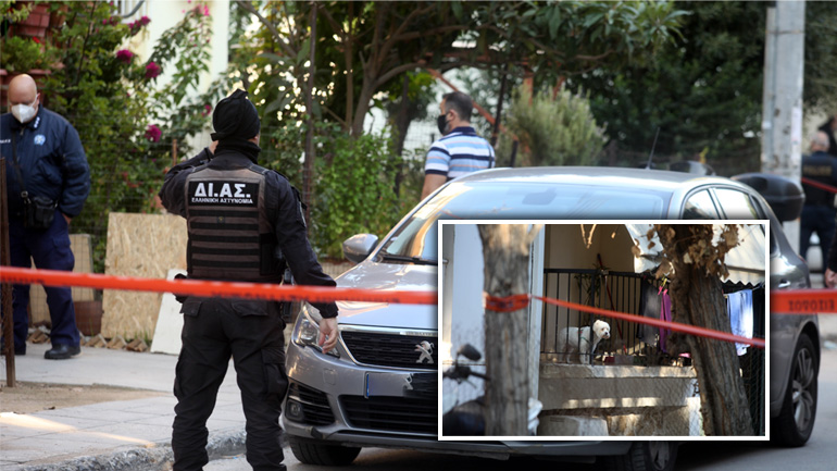 Άγρια δολοφονία στο Αιγάλεω