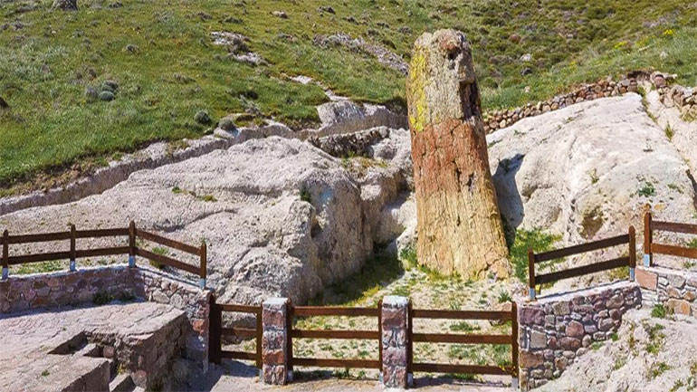 Τα μοναδικά απολιθώματα του Πάρκου Απολιθωμένου Δάσους, στη θέση Μπαλή Αλώνια