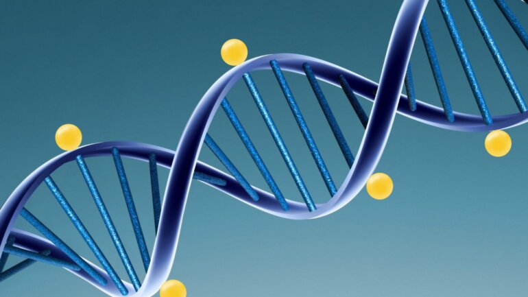 H επίκτητη ανοσία μεταδίδεται στους απογόνους, δείχνει μελέτη σε ποντίκια