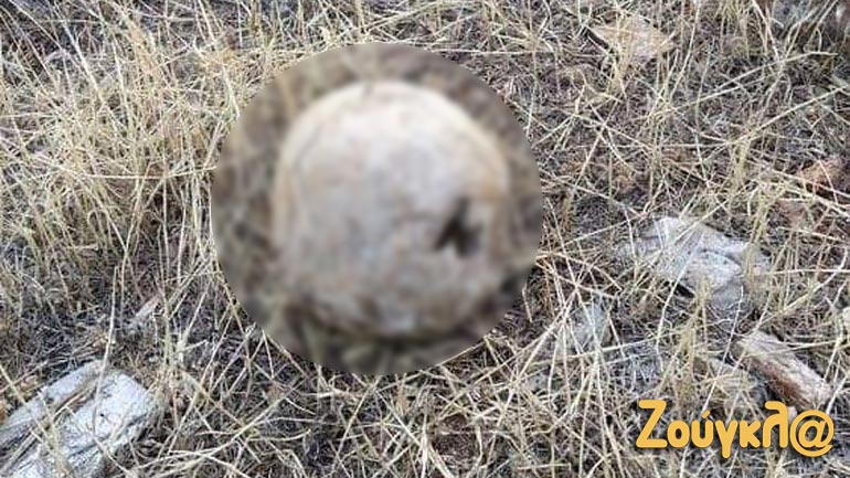 Υπόθεση δολοφονίας ερευνά η ΕΛ.ΑΣ. για το ανθρώπινο κρανίο στα Βίλια