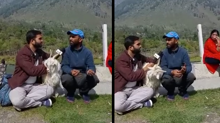 Kατσίκα κάνει σαμποτάζ σε συνέντευξη