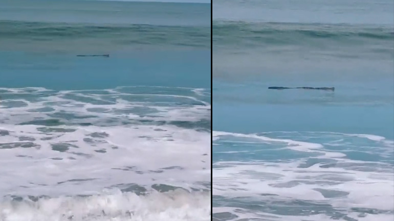 Τι είναι αυτό που επιπλέει στη θάλασσα;