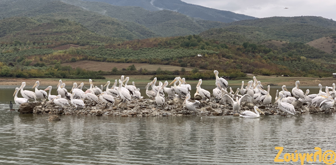 Η ομορφιά της λίμνης Κερκίνης