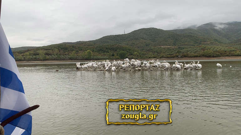 Η μαγεία της λίμνης Κερκίνης και πώς μας βοηθάει να έρθουμε κοντά με την ελληνική φύση