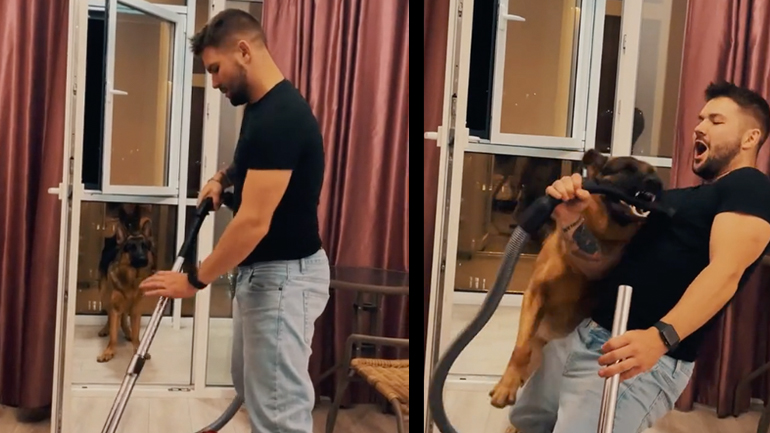 Σκύλος υπερασπίζεται τον ιδιοκτήτη του από μια ηλεκτρική σκούπα