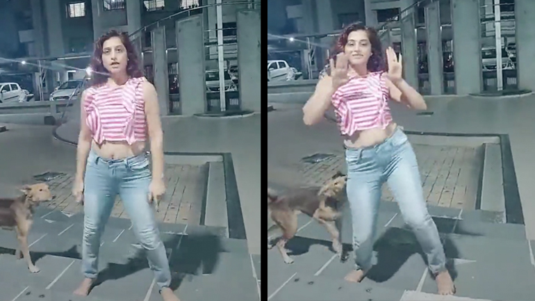 Ο σκύλος κουράστηκε με τις TikTokers