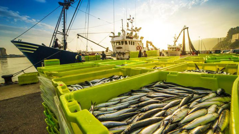 Νέες συνομιλίες μεταξύ ΕΕ και Βρετανίας για τις άδειες αλιείας