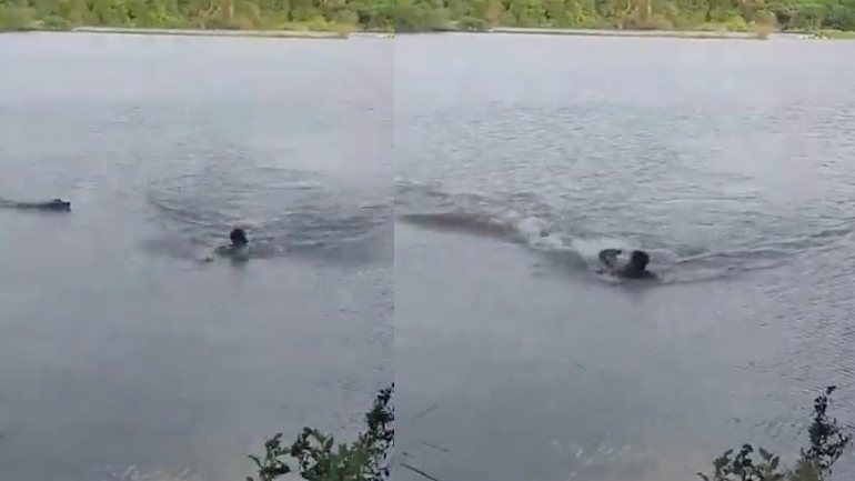 Άνδρας δέχεται επίθεση από αλιγάτορα