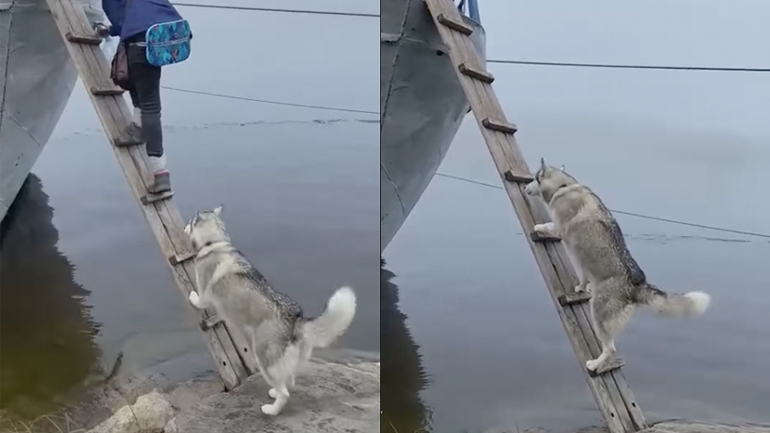 Θα έρθω και εγώ μαζί!