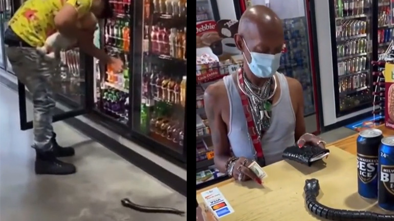 Φάρσα με ένα φίδι