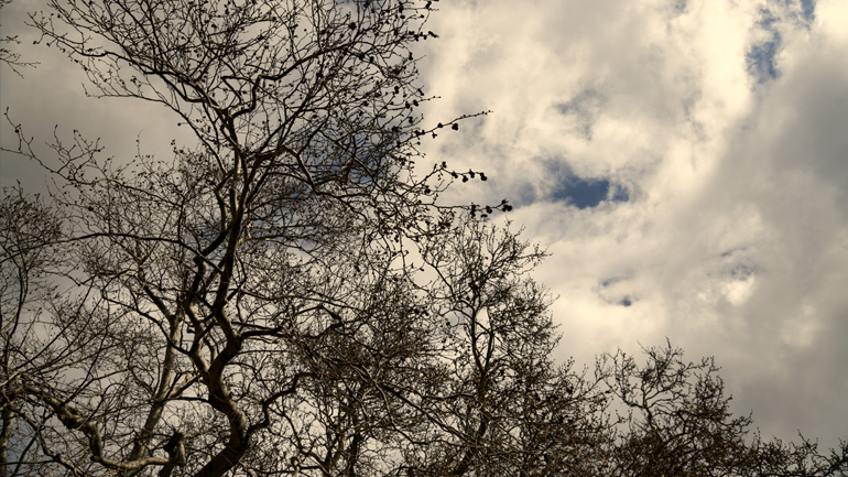 Ο καιρός σήμερα