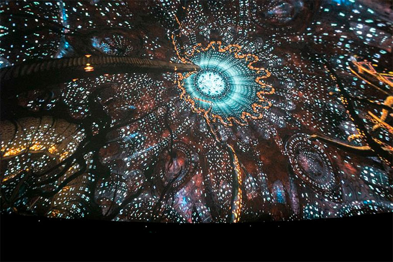 Jan Kounen:  Ayahuasca - A Kosmik Journey