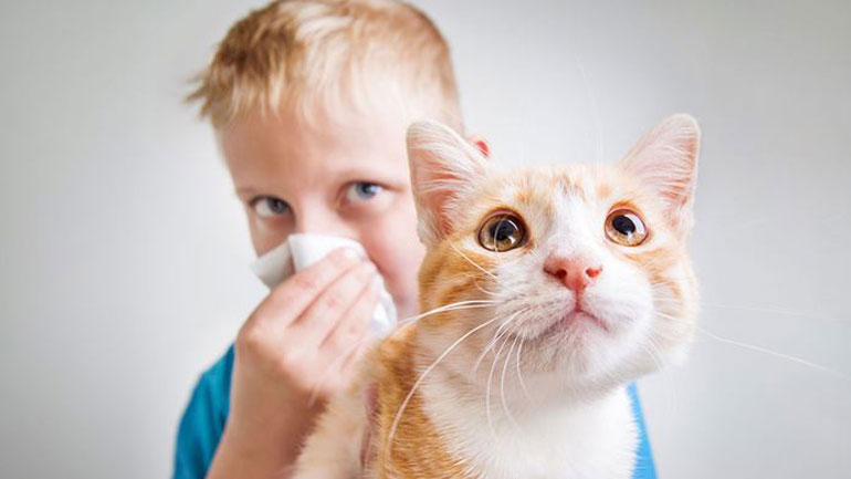 Πώς τα σκυλιά προστατεύουν τα παιδιά από τις αλλεργίες;