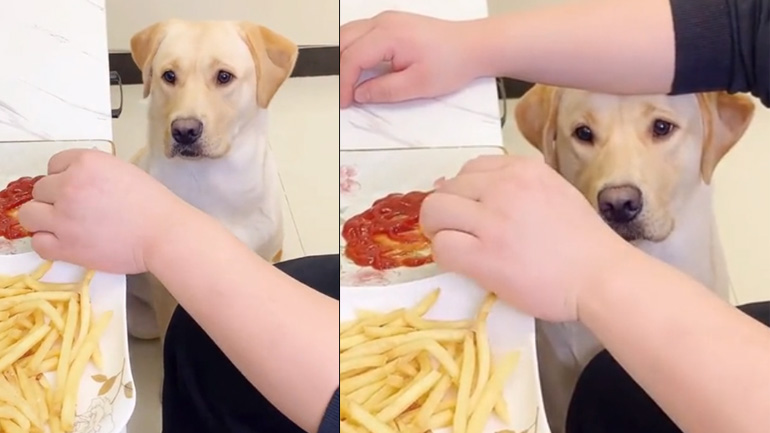 Δώσε μια πατάτα!