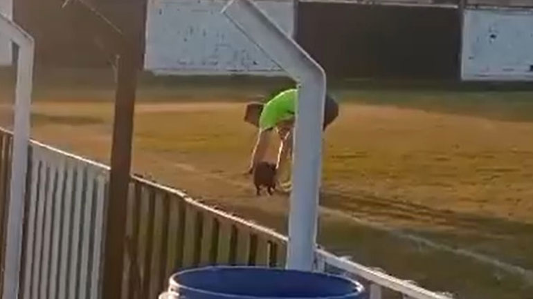 Ο τετράποδος φίλαθλος και ο φιλόζωος διαιτητής