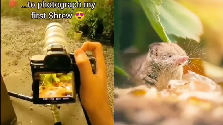 Πόση ώρα αφιερώνει ένας φωτογράφος της άγριας ζωής για μια λήψη; 