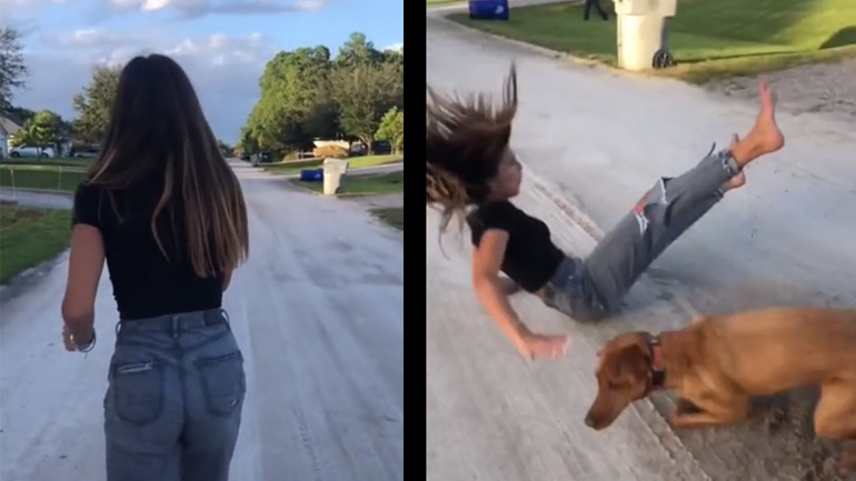 Σκύλος σαμποτάρει το παιχνίδι «Red light, green light»