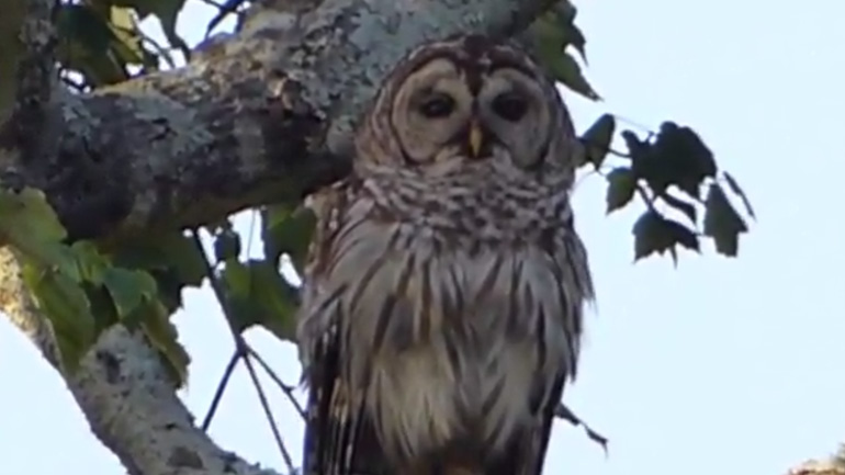 Δεν ασχολούμαι μαζί σας