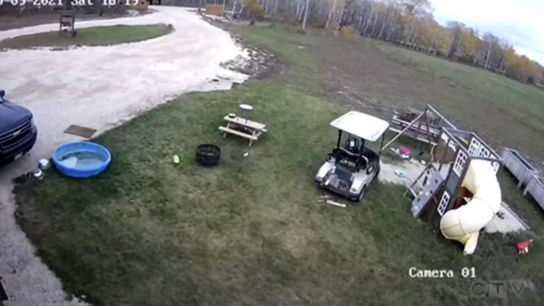 Σκύλος οδηγεί ένα golf cart